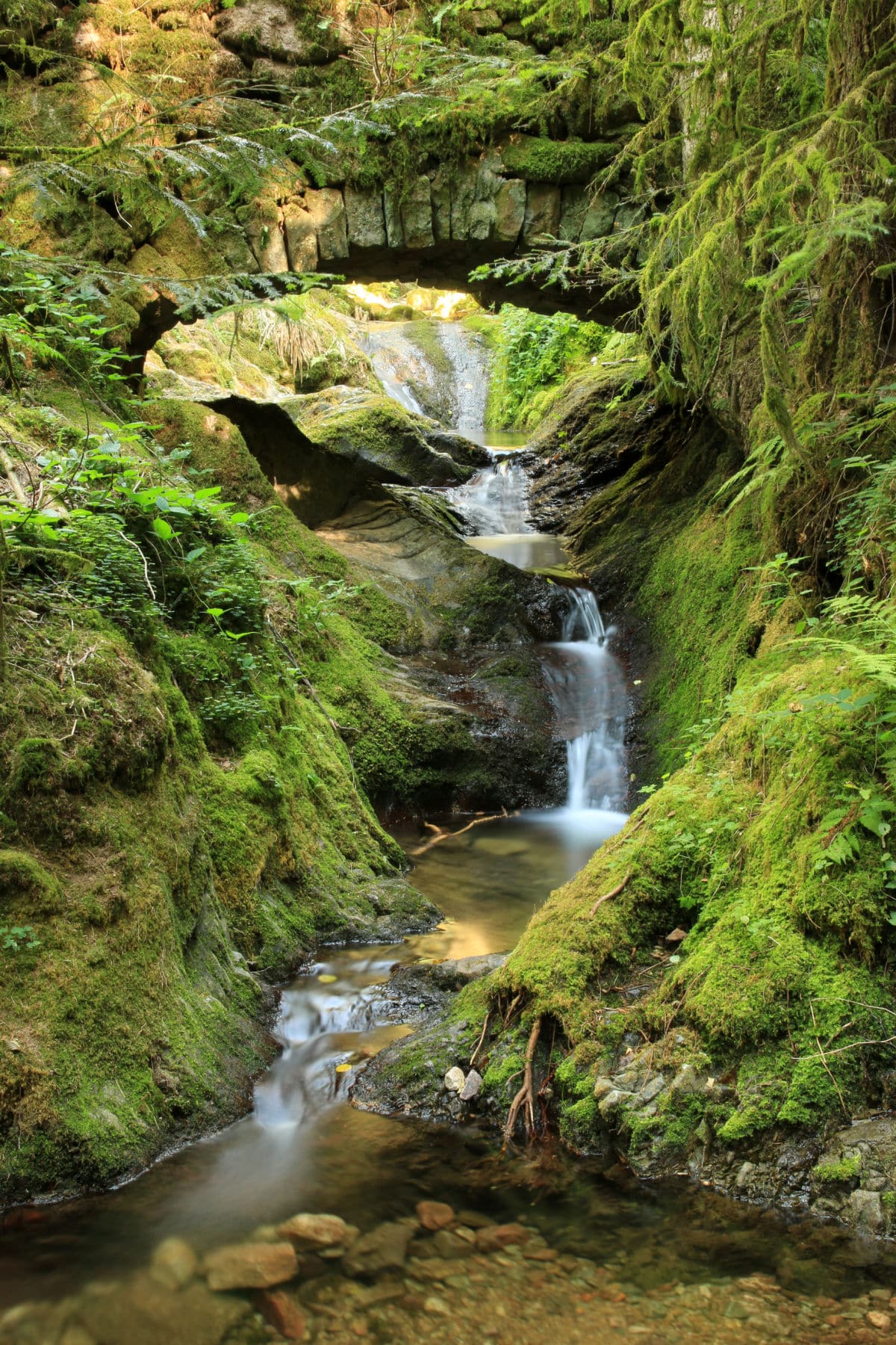 As World’s Springs Vanish, Ripple Effects Alter Ecosystems